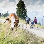 Garni Matthaeuserhof Apartahotel 3*