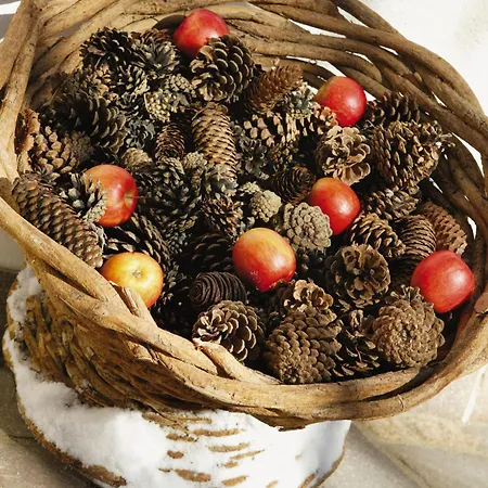 Garni Matthaeuserhof Hotel apartamentowy 3*