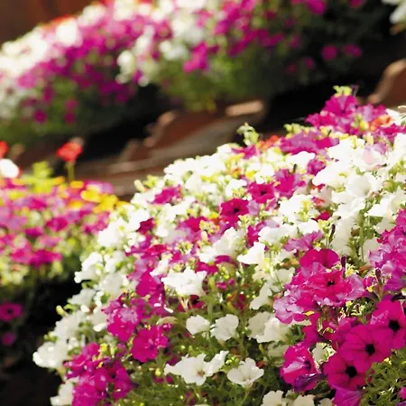 Garni Matthaeuserhof Hotel apartamentowy Gerlos