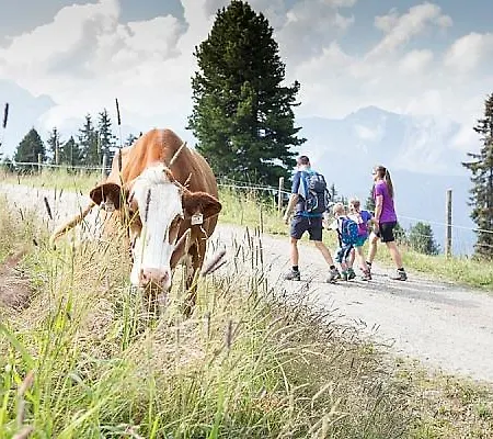 Garni Matthaeuserhof Hotel apartamentowy 3*