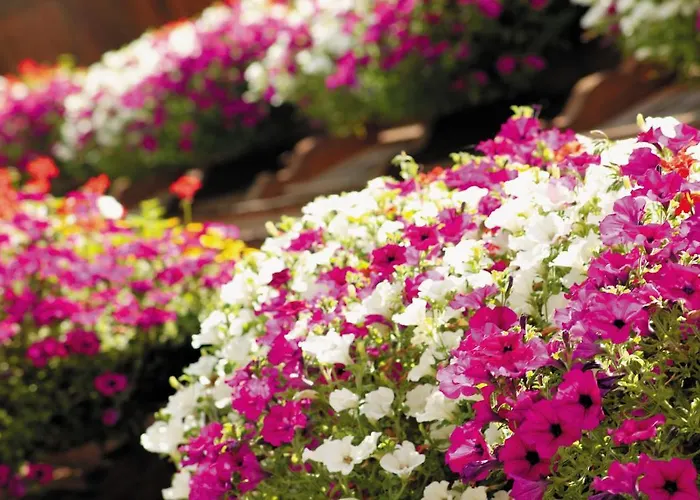 Garni Matthaeuserhof Appart hôtel Gerlos